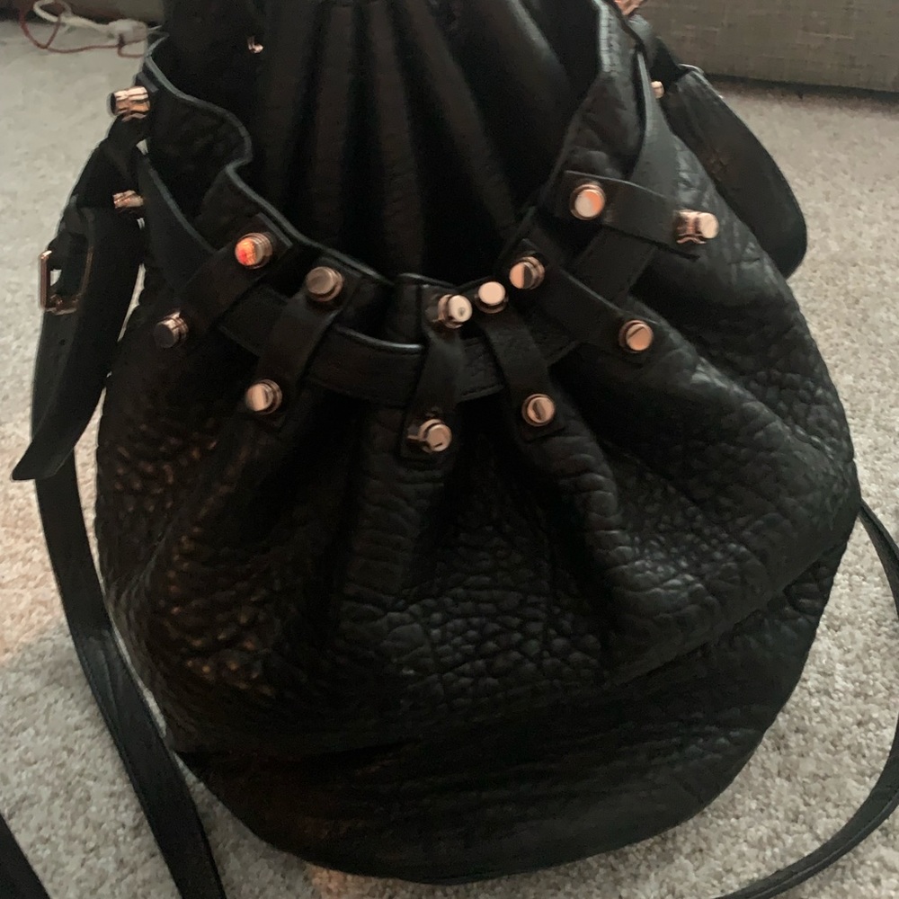 Alexander Wang bucket bag